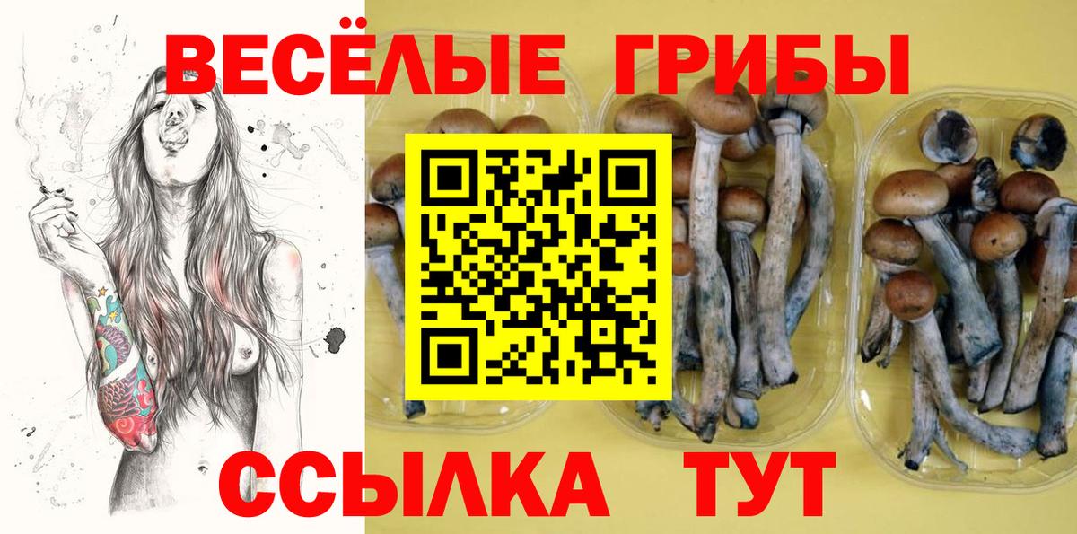 Галлюциногенные грибы GOLDEN TEACHER  Вход с VPN  Касимов 